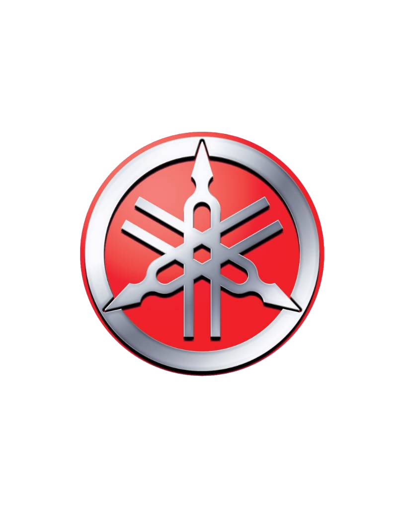 Client logo 11